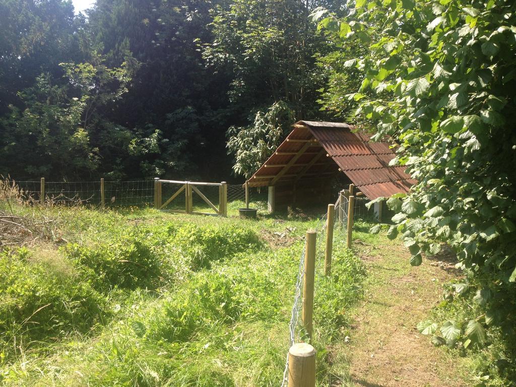 Kildegaarden Bed & Breakfast Frorup Екстериор снимка